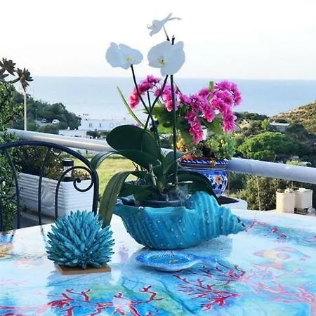 Vacanze Falcone Affittacamere Ponza