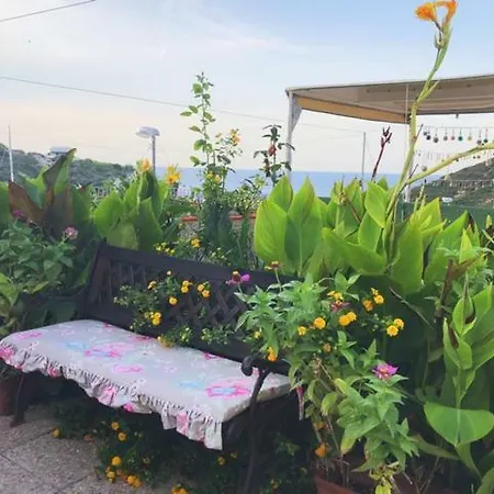 Vacanze Falcone Guest house *